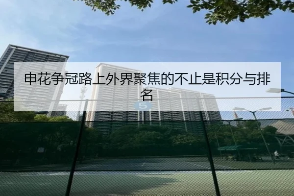 申花争冠路上外界聚焦的不止是积分与排名 - xingkong